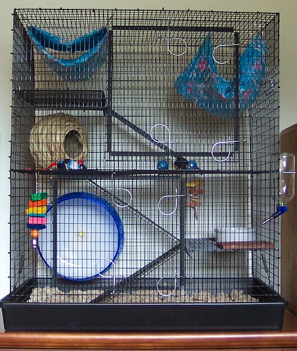 Rat Cage by deborah|silverbees