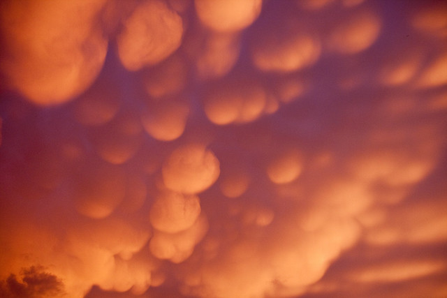 Clouds Like Cotton Balls (Mammatus cloud) | Flickr - Photo Sharing!