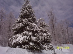 March 1, 2009 snow storm