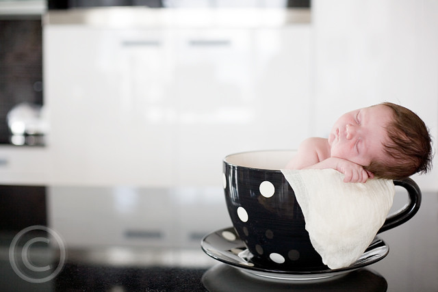 Baby in a Cup - Newborn Kids Photography