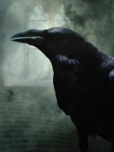 Edgar Allen Poe - The Raven