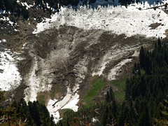 Avalanche Debris (Aug '07 vs Jun '09)