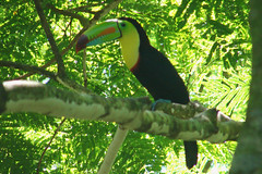 Costa Rica 2009