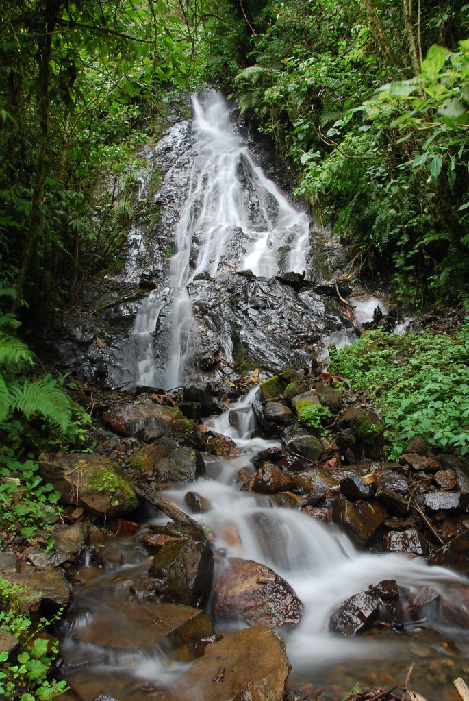 Waterfall, Amazon