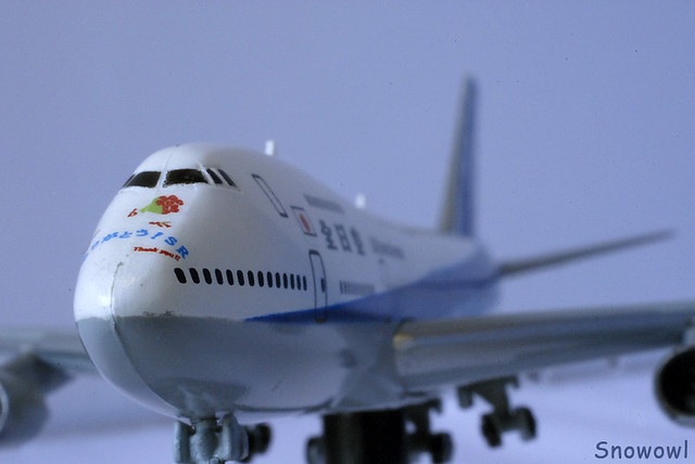 model plane of ANA