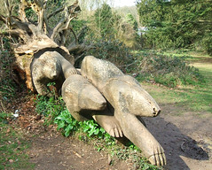 Carved Badger Wood Sculpture