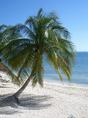 Mexique - Yucatan - Isla Mujeres