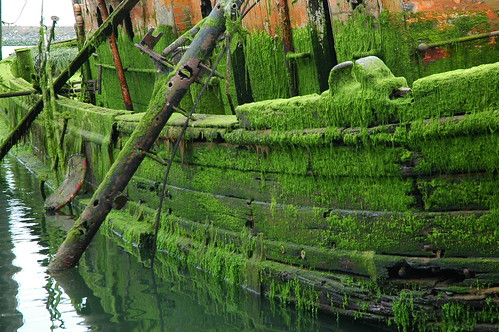 Drowned in moss, The Mary D. Hume, built in 1881, Gold River, Oregon, USA by Wonderlane