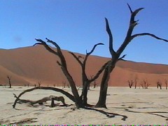 Namibia Land Of Contrasts .