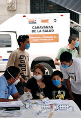Influenza 2009: Ciudad de México