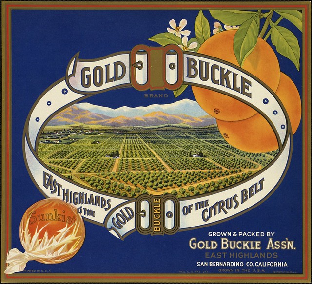 Gold Buckle Brand: East Highlands is the gold buckle of the Citrus Belt, grown & packed by Gold Buckle Ass'n., East Highlands, San Bernardino Co., California