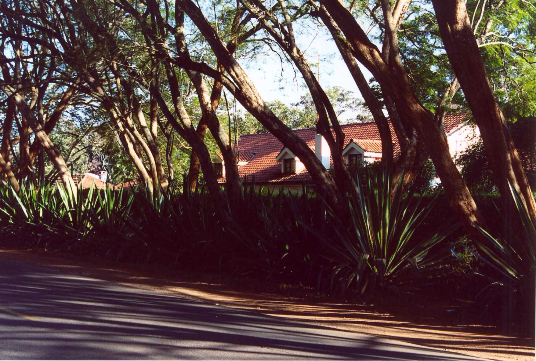 Riverside - Nice house behind plant wall (July 2003)