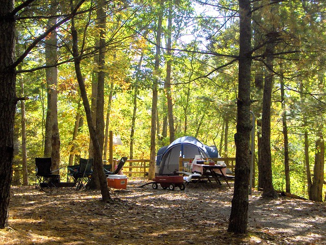 Campground C at Hungry Mother State Park