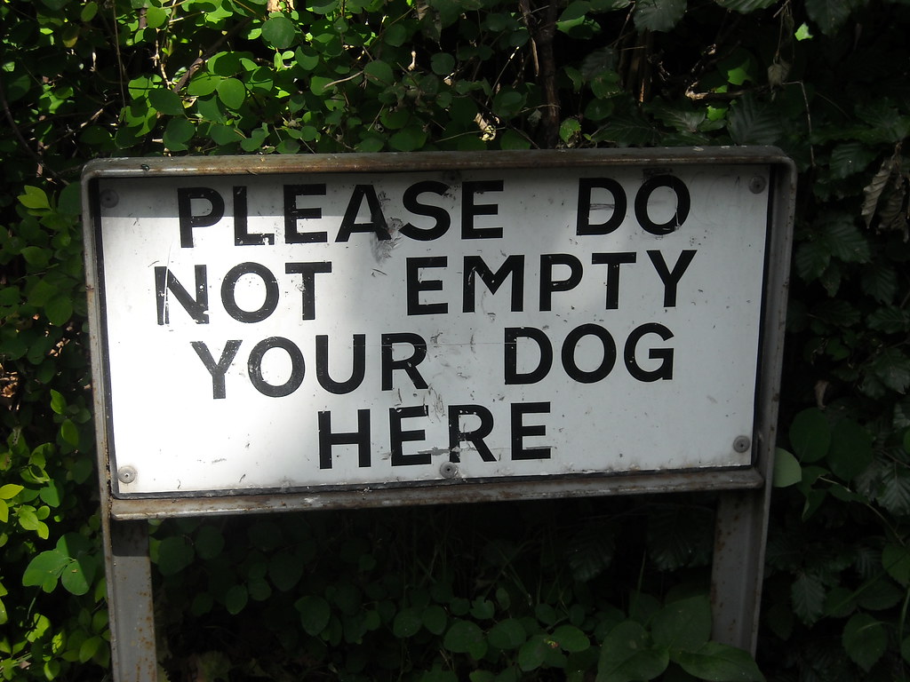 Funny dog, What a funny sign this is