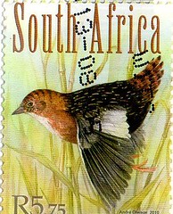 Postage Stamps - South Africa