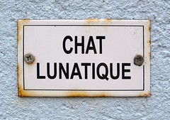 sign: chat lunatique