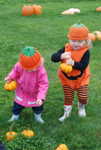 pumpkin friends