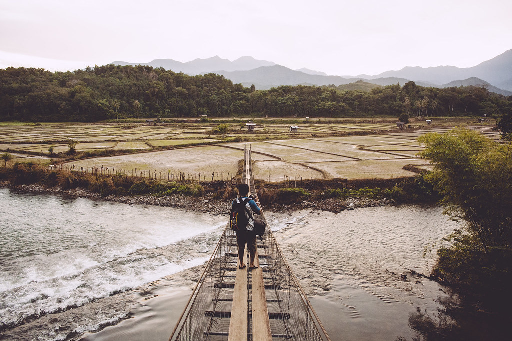 Travel Photography | Kota Belud | Rice Field