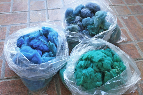 Dyed loose wool: cools
