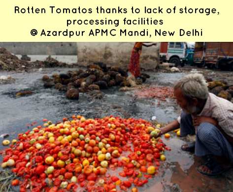 APMC Act Azarpur mandi wastage