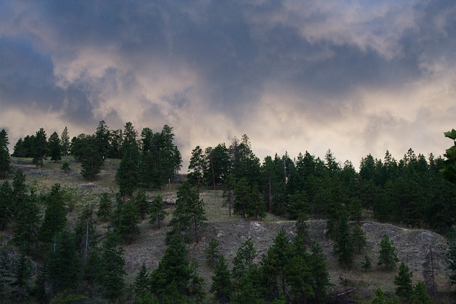 A Storm is Coming | Peachland, Canada