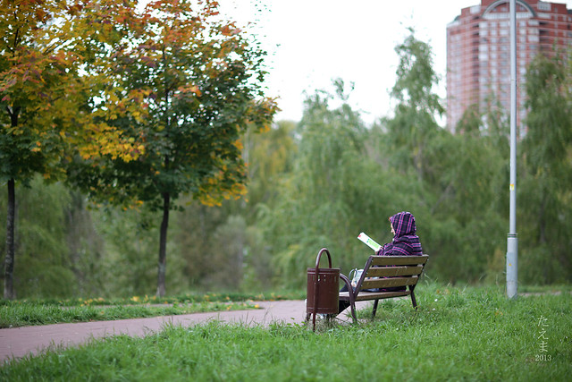 Benches_in_the_autumn_2013(5)