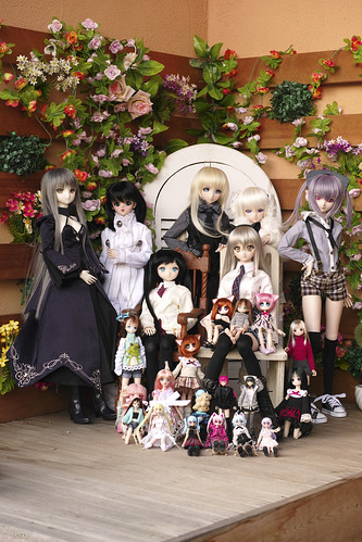 All members Doll