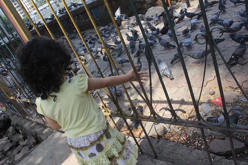 Nerjis Feeding The Pigeons Bandra Talao by firoze shakir photographerno1