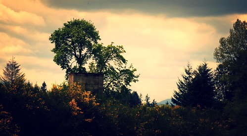 Abandoned concrete tower, cloudy day, trees, mountain, Lacy, Washington, USA by Wonderlane