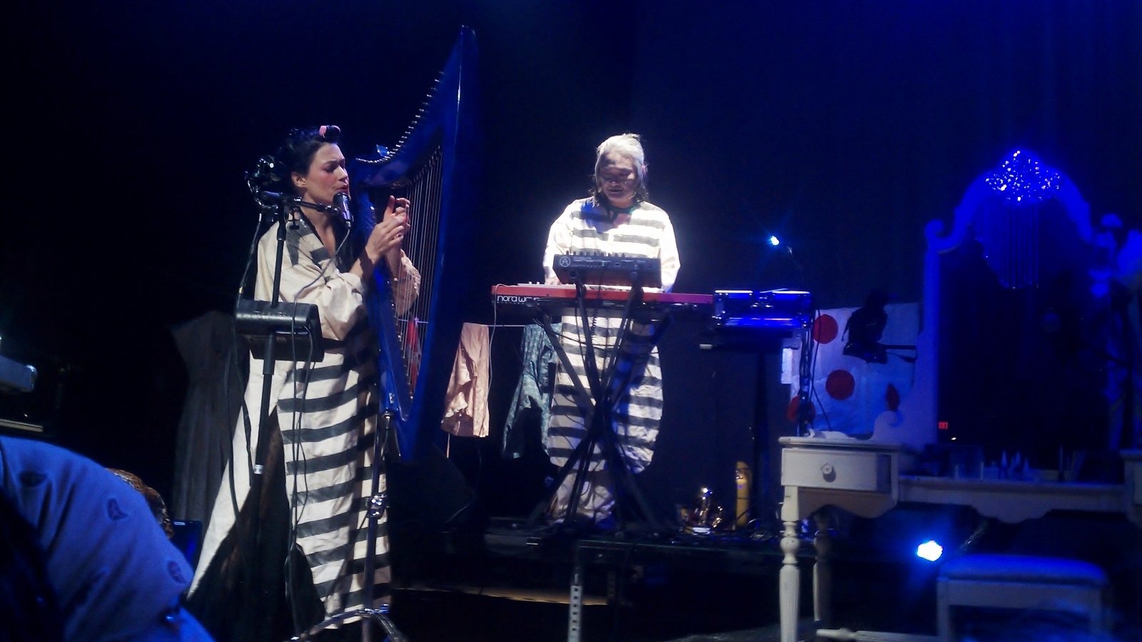 Music Dissolves Water: CocoRosie at Variety Playhouse 