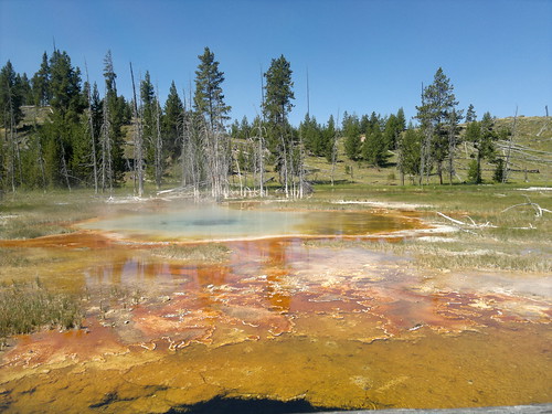 Martes Día 23 de Julio: Yellowstone (II) - 25 días por los parques nacionales del Oeste de USA: un Road Trip de 10500 kms (24)