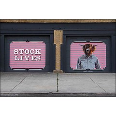 'Stock Lives' by @thievinstephen spotted on the streets of #Rochester #NewYork. #Wallkandy #art #streetart #painting #mural #thievinstephen #fb #f #t #graffiti