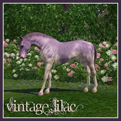 Vintage Lilac
