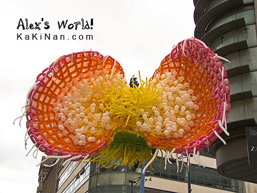 Manchester Urban Gardening Festival 2013 Balloon Flower