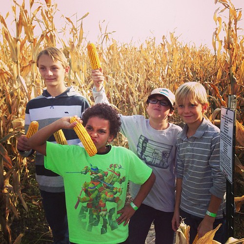 The only photographic evidence I took of today's trip to the corn maze.