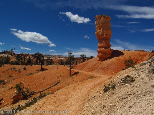 A lone spire along the Fairyland Trail in Bryce Canyon National Park, Utah