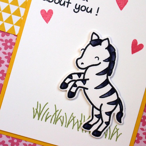 Wild Zebra Card 2