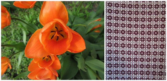 tulips and patterns