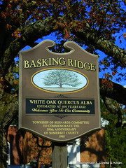 Basking Ridge, NJ