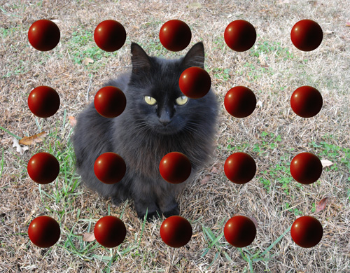 Black Cat Red Balls