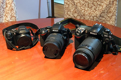 Testing Nikon D5100 + Sigma 18-250 Macro HSM