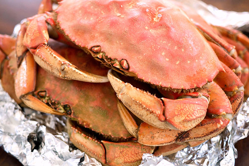 crab01
