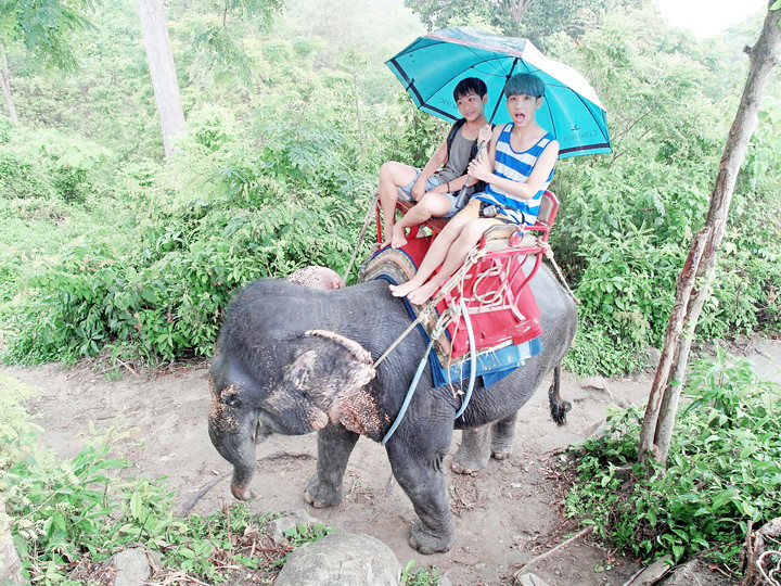 phuket elephant riding typicalben 8