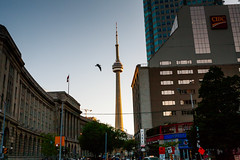 Yonge Street Downtown Toronto