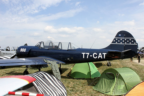 T7-CAT