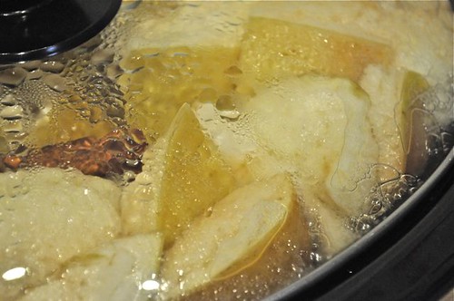 apple sauce in the slow cooker 13