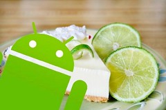 Google Android Nexus 5 with Key Lime Pie beta might appear ... - Android Help