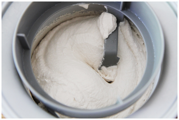 Vanilla Coconut Milk Ice Cream Recipe (dairy and gluten-free, sweetened with maple syrup)