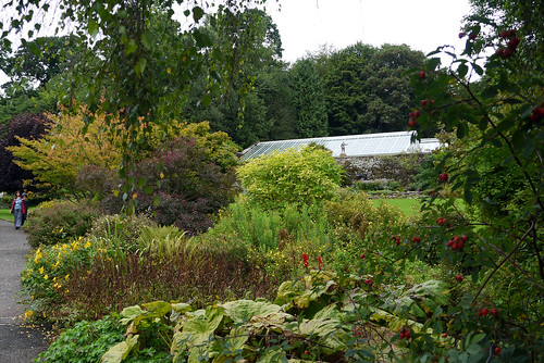 The Garden at Wallington