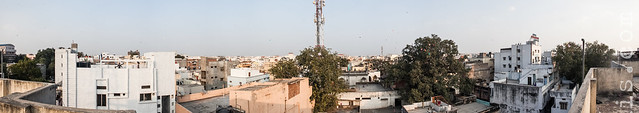 Hyderabad Panoramic Kite Flying